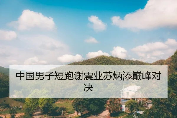 中国男子短跑谢震业苏炳添巅峰对决